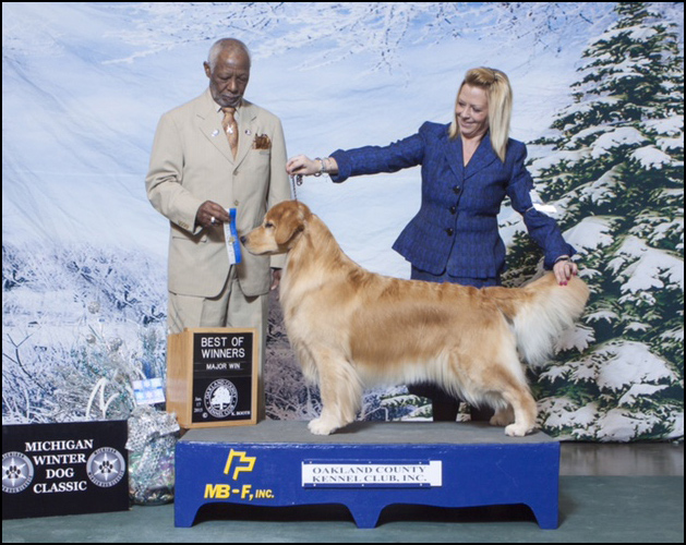 Michigan Winter Dog Classic