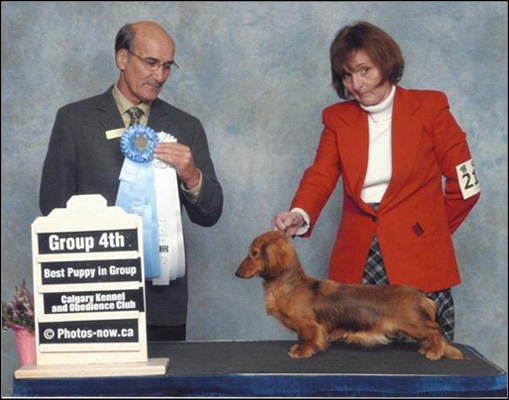 dog photo