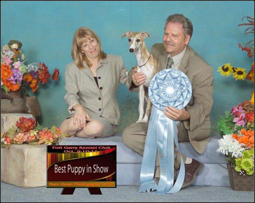 dog photo