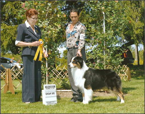 dog photo