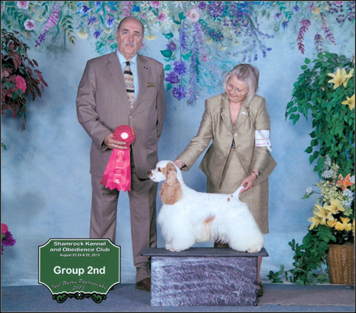 dog photo