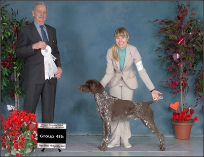 dog photo