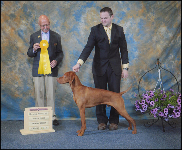 dog photo