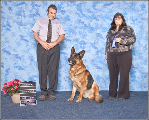 dog photo