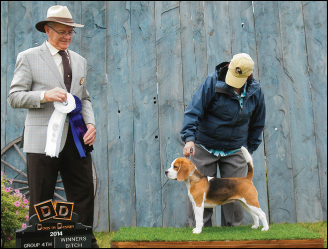 dog photo