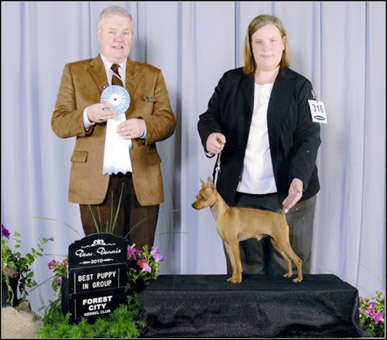 dog photo