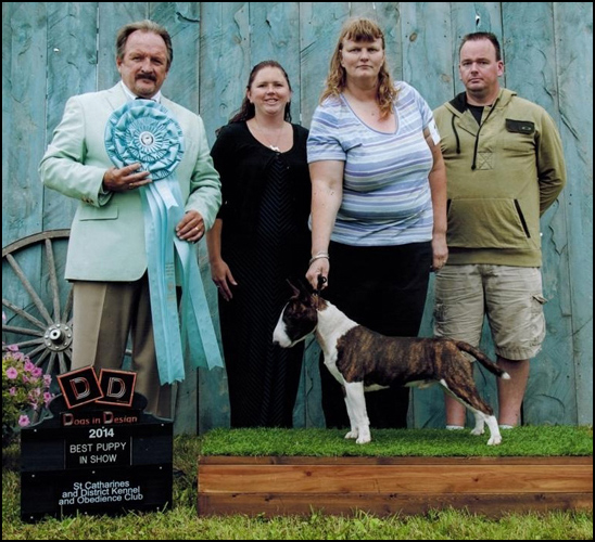 dog photo