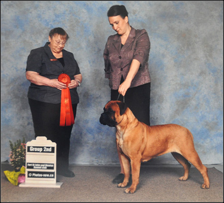 dog photo