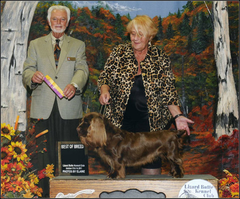 dog photo