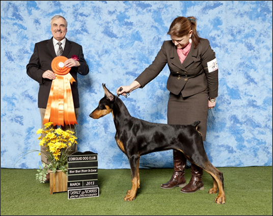 dog photo