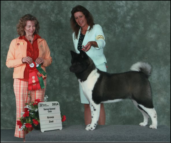 dog photo