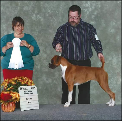 dog photo
