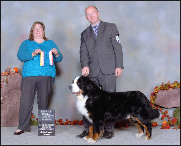 dog photo