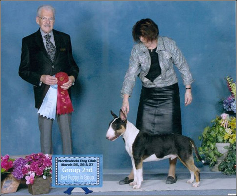 dog photo